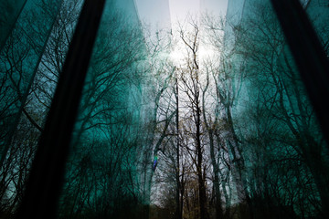 Obraz premium winter tree branches reflections in a glass