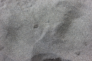 footprints in the sand