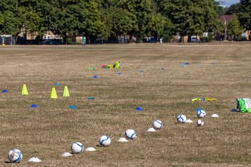 Leather footballs and cones laid out on the grass of a public park.