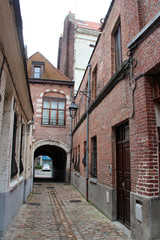Fototapeta na wymiar brick houses at brigittines square in lille (france) 
