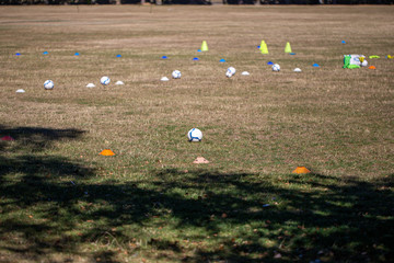 Leather footballs and cones laid out on the grass of a public park.