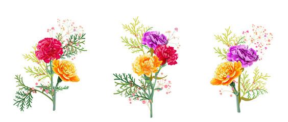 Set bouquets of carnation. Purple, yellow, red, orange flowers, gypsophile, thuja twigs, white background. Illustration for Mother's Day. Bright floral design watercolor style, panoramic view, vector