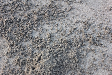 texture of beach sand background