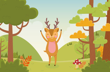 Obraz na płótnie Canvas cute deer with hands up forest nature landscape