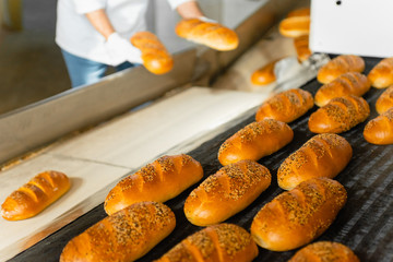 The oven in the bakery. Hot fresh bread leaves the industrial oven in a bakery. Automatic bread production line