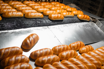 The oven in the bakery. Hot fresh bread leaves the industrial oven in a bakery. Automatic bread production line