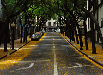 Street of Funchal, capital of Madeira island
