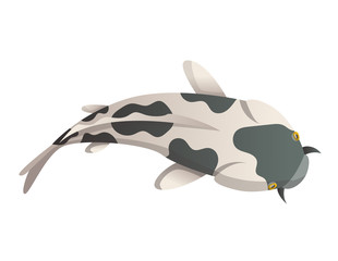 Calmly floating fish. Koi fish vector illustration japanese carp, colorful oriental koi in Asia. Chinese goldfish, traditional fishery isolated on background