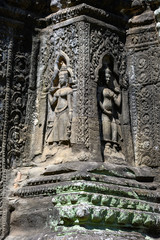 Ta Prohm temple at Angkor Wat complex, Siem Reap, Cambodia