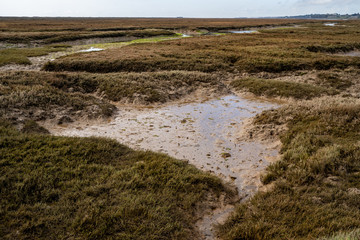 The swamp and wetlands near Barril Beach in Tavira Portugal