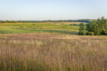 Rural landscape near Polczyn Zdroj town located in West Pomerania region of Poland