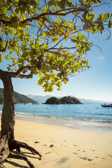 Fototapeta na wymiar Beautiful tropical sea and ocean beach with chestnut tree and blue sky on sunny day in Abraao in Ilha Grande for vacation travel in Rio de Janeiro, Brazil