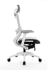 Office Business Chair on White