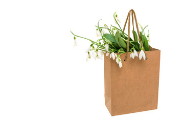 Snowdrop flowers bouquet with leaves in a paper bag with handles isolated on white background, high key