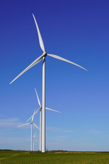 wind turbine farm landscape summer with summer blue sky