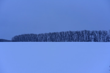 snow-covered expanse of field with trees