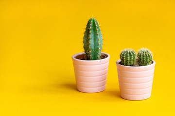 Two green cacti in pink pots on a yellow background. Minimal creative still life.Trendy Bright Color. Green Neon cactus. Mood on Yellow fashionable creative background.
