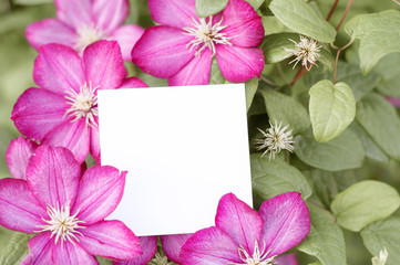 Creative layout made of flowers and leaves with paper card note. Flat lay. Nature concept