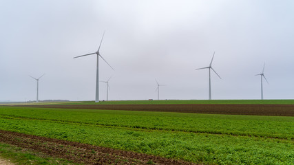 A group of wind turbines stood in field on cold foggy winters day
