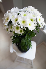 close up of white chrysanthemum in a vase