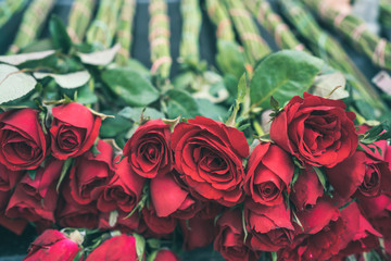 Red roses in film look color