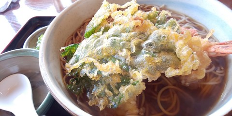 天ぷらそば