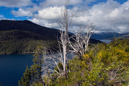 Die Lagune Los Moscos im Nationalpark Nahuel Huapi, Patagonien/ Argentinien
