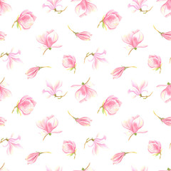 Rose magnolia spring seamless pattern on a white  background. Stock illustration hand painted in  watercolor.