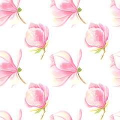 Rose magnolia spring seamless pattern on a white  background. Stock illustration hand painted in  watercolor.