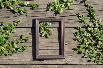 Creative top view willow tree blooming flowers brunch and frame on rustic wooden background with copy space in minimal style