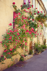 Fototapeta na wymiar Vertical picture of scenic stone medieval street with flowers on wall in Lourmarin, one of the most beautiful villages of France located in Luberon, heart of Provence. Popular tourist destination.