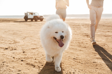 Pleased positive young amazing loving couple with dog