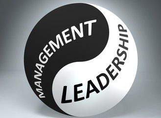Management and leadership in balance - pictured as words Management, leadership and yin yang symbol, to show harmony between Management and leadership, 3d illustration