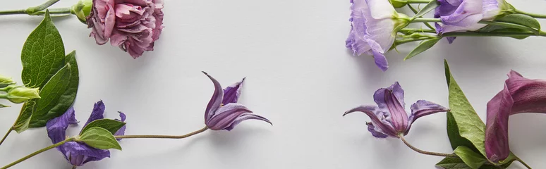 Fotobehang top view of violet and purple flowers on white background, panoramic shot © LIGHTFIELD STUDIOS