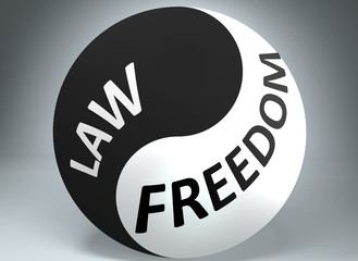 Law and freedom in balance - pictured as words Law, freedom and yin yang symbol, to show harmony between Law and freedom, 3d illustration