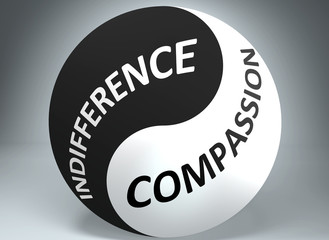 Indifference and compassion in balance - pictured as words Indifference, compassion and yin yang symbol, to show harmony between Indifference and compassion, 3d illustration