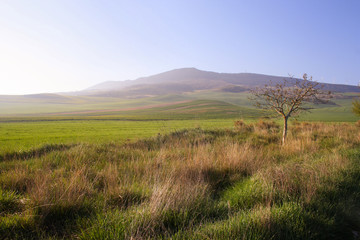 Fototapeta na wymiar nature landscape field up to mountain