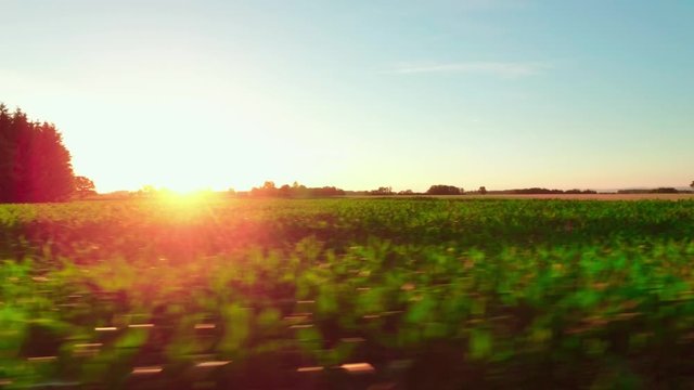 Felder Sonnenuntergang