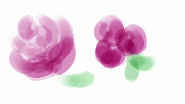 Brush stroke on a white background.  Watercolor drawing colored flowers - peonies or roses. Brush stroke. Color brush strokes animation. Handmade - picture. Hobbies for relaxation. 4k
