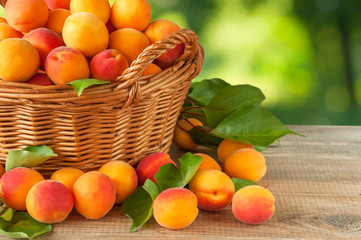 Fototapeta na wymiar Basket with freshly picked ripe apricots with leaves on a wooden table close-up. Harvesting apricots. Selective focus. Space for text.