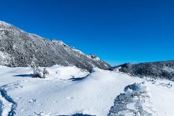 北八ヶ岳北横岳スノートレッキング