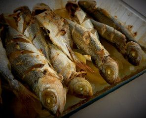 Grilled healthy fish near plan shot