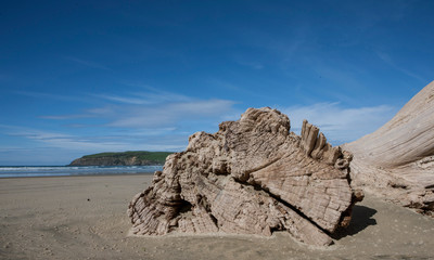 Fototapeta na wymiar Surat Bay Catlins New Zealand. Driftwood at beach