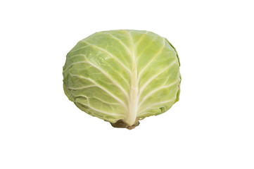 Fototapeta premium textured head of white cabbage isolated on white background