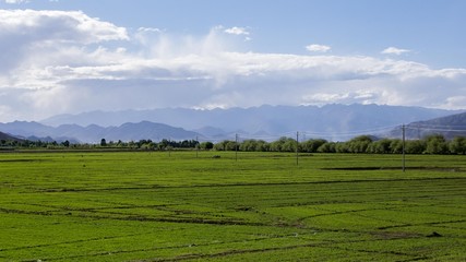 Fototapeta na wymiar A big agricultural field in Tibet
