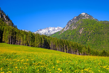 Das schöne Tennengebirge im Salzburger Land