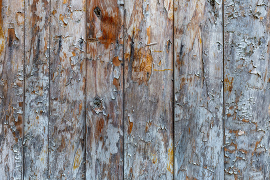 Vintage wood background. Grunge wooden weathered textured planks with pealing paint. Fence or table background.