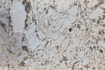 Closeup top view photography of sturcture of real huge stone laying outside in mountains area. Beautiful organic texture of stone. Abstract photo background.