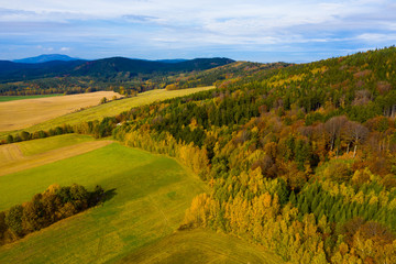 Autumn hilly landscape with colored trees