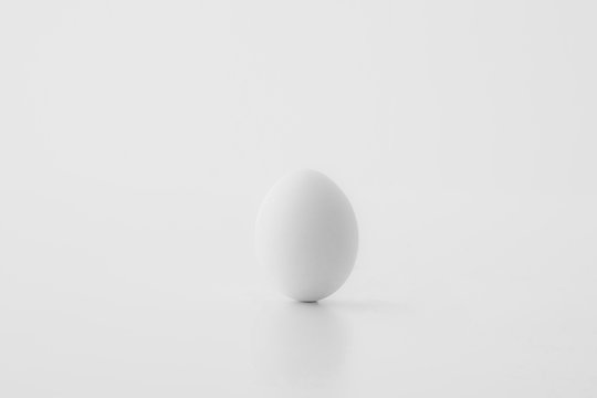 Chicken egg on white background. Fresh chicken egg image.